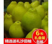 柚子批發 產品庫全指南